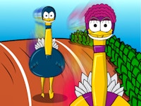 Big Birds Racing
