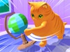 Cat Chaos Simulator