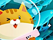 Crazy Cats