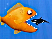 Fish Eat Grow Big