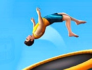 Flip Master