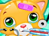 Little Cat Doctor