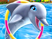 My Dolphin Show